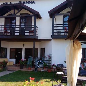 Hotel Vila Rianna Dunavăţu de Jos Exterior photo