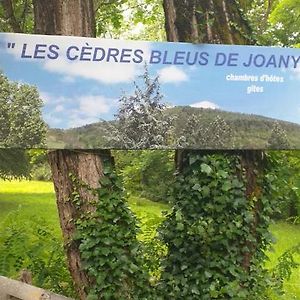 Hotel Les Cedres Bleus De Joany Viviez Exterior photo