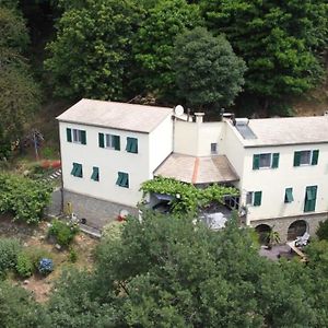 Villa Maia Neirone Exterior photo