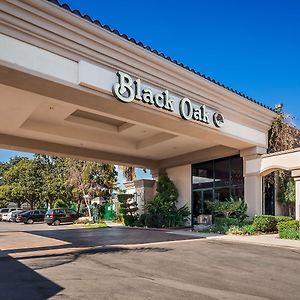 Best Western Plus Black Oak El Paso de Robles Exterior photo