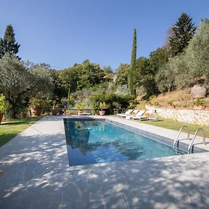 Villa Iris With Swimming Pool Capannori Exterior photo
