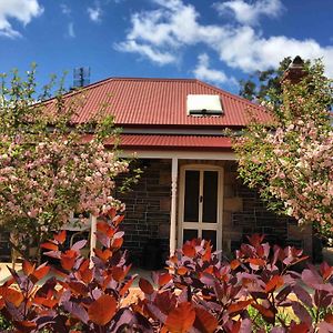 Randell Cottage - Adelaide Hills - Cosy Rustic Hideaway Gumeracha Exterior photo