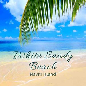 White Sandy Beach-Best Manta Snorkeling Naviti Island Exterior photo