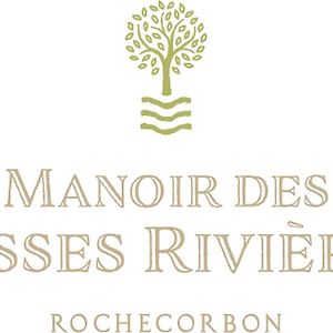 Bed and Breakfast Manoir Des Basses Rivieres Rochecorbon Exterior photo