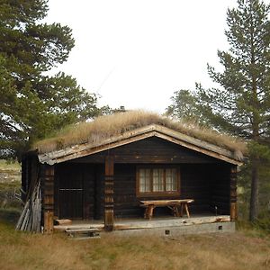 Lusæter Timber Cabins Heidal Room photo