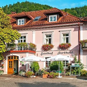 Hotel Gasthof Zum Niederhaus - Familie Perthold Sankt Aegyd am Neuwalde Exterior photo