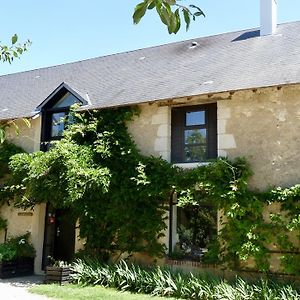 Bed and Breakfast La Ligne Angles-sur-lʼAnglin Exterior photo