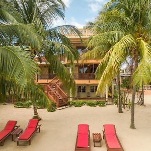 Hotel Buttonwood Belize Hopkins Exterior photo