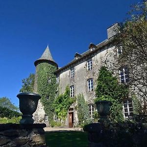 Chateau De Taussac Exterior photo