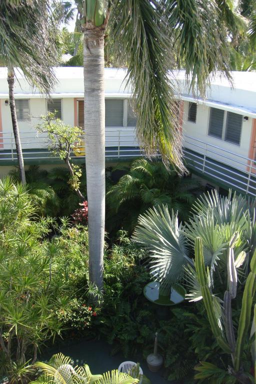 El Patio Motel Key West Exterior foto