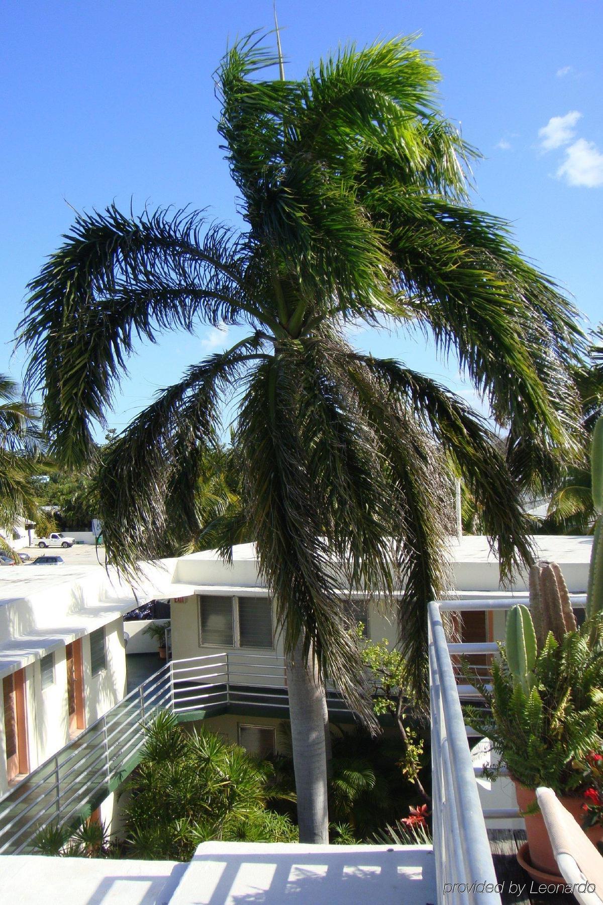 El Patio Motel Key West Exterior foto
