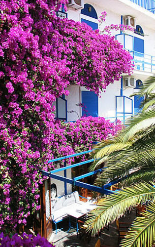 Hotel Hippocampus Aegina Exterior foto