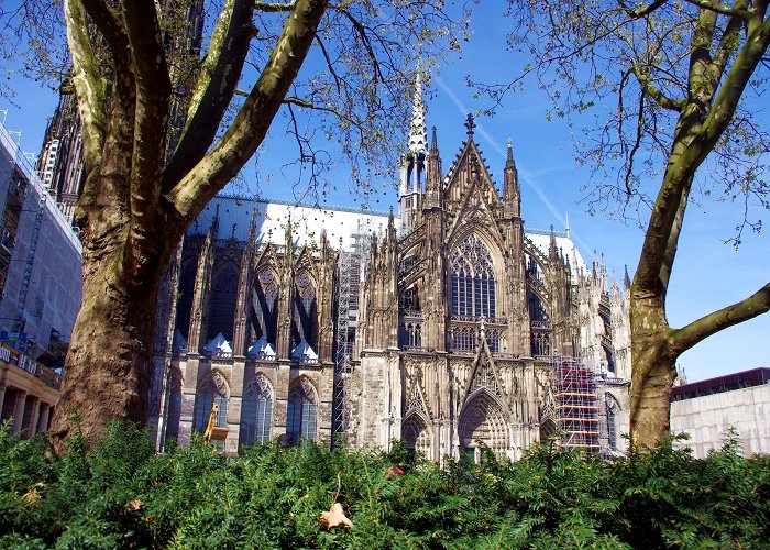 Cologne Cathedral photo