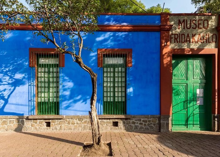 Frida Kahlo House Museum photo