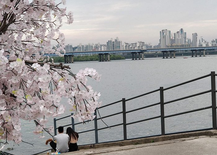 Hangang River Ferry Cruise photo