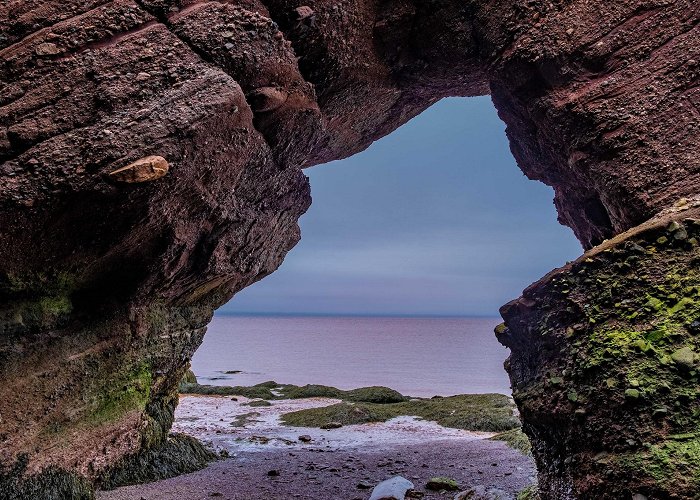 Hopewell Rocks Park photo