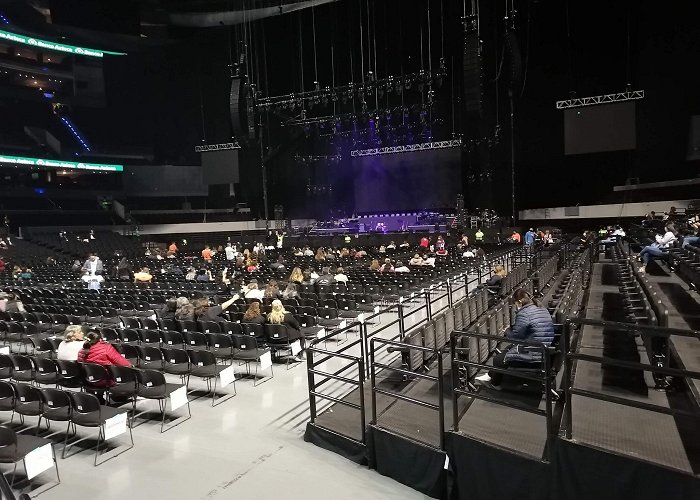 Mexico City Arena photo