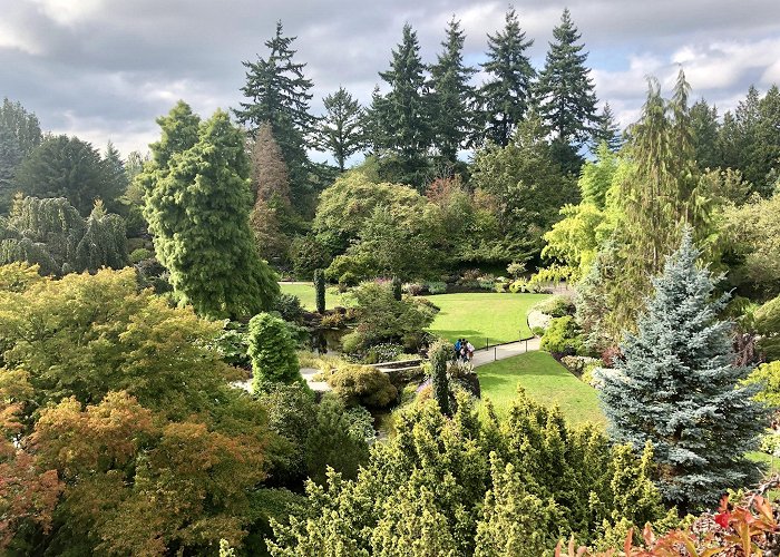 Queen Elizabeth Park photo