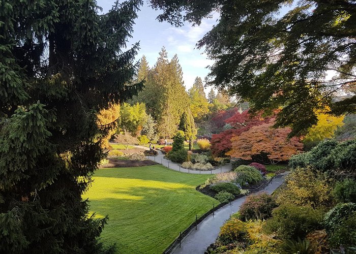 Queen Elizabeth Park photo