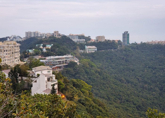 Victoria Peak photo