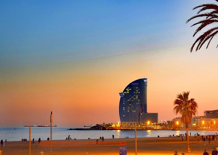 Barceloneta Beach photo