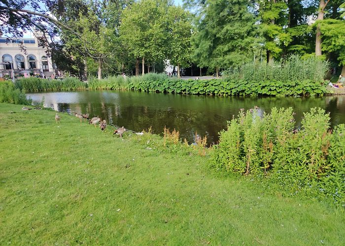 Vondelpark photo