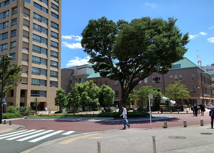 Waseda University photo