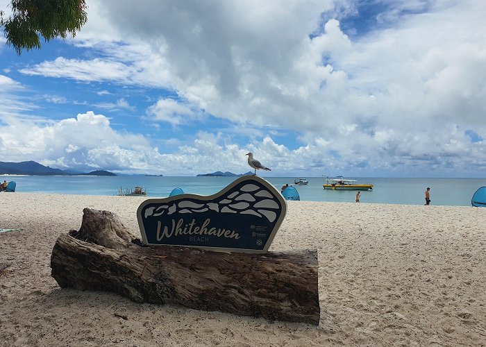 Whitehaven Beach photo