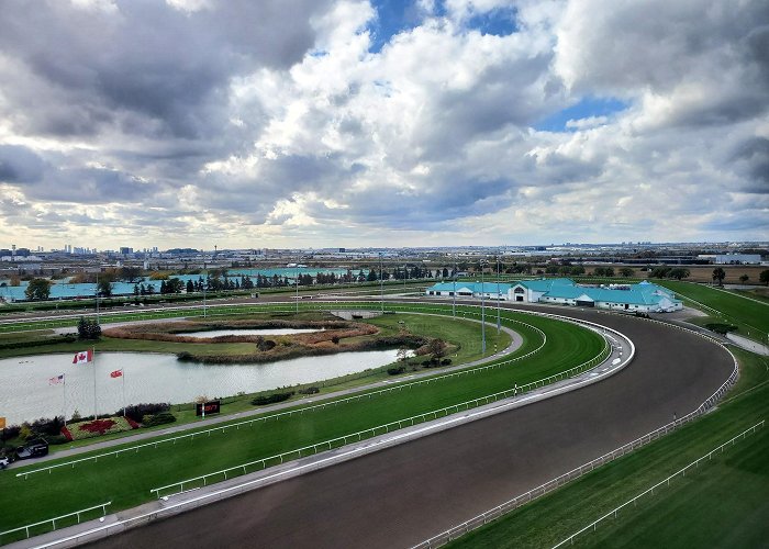 Woodbine Racetrack photo