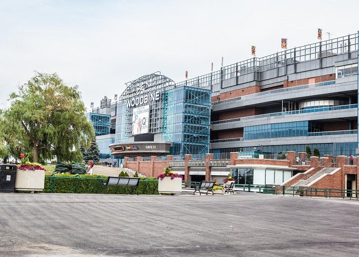 Woodbine Racetrack photo