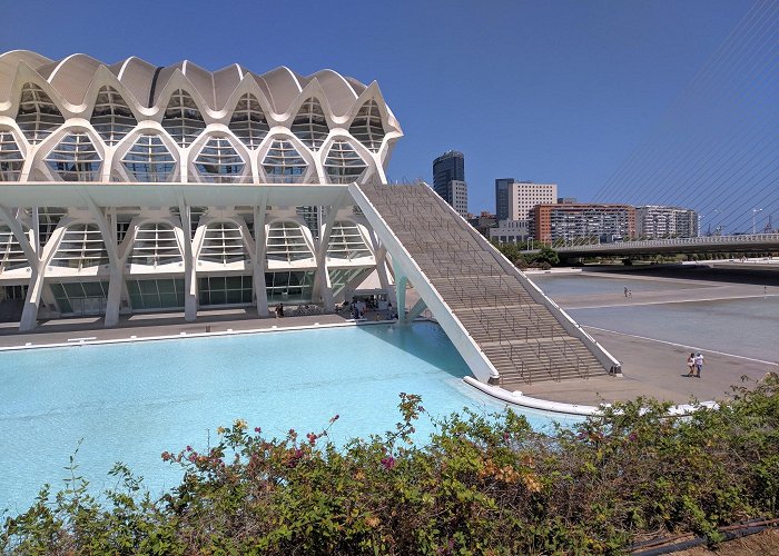 City of Arts and Sciences photo