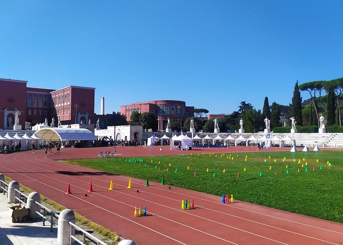 Roma Stadio Olimpico photo