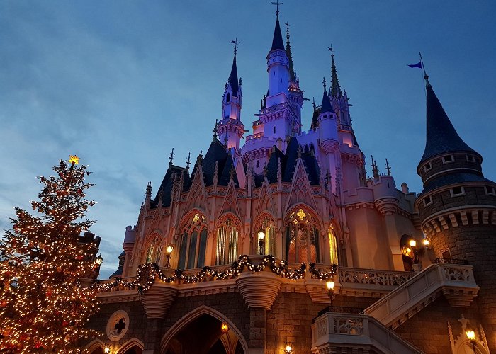 Tokyo Disneyland photo