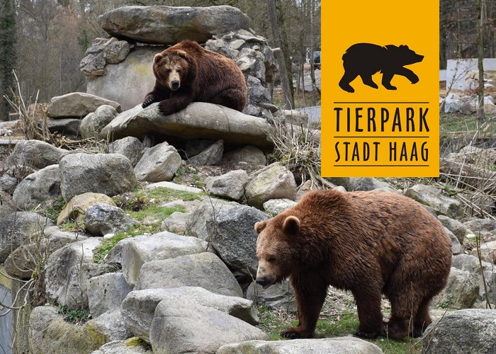 Tierpark Stadt Haag 50 Jahre– 70 Tierarten– 700 Tiere: moreFAMILY photo