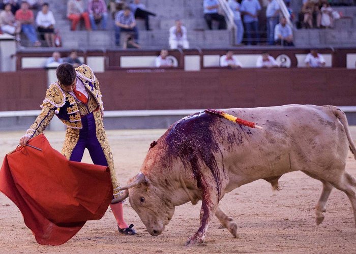 Valencia Bullring Novillada 2024 in Valencia - Dates photo