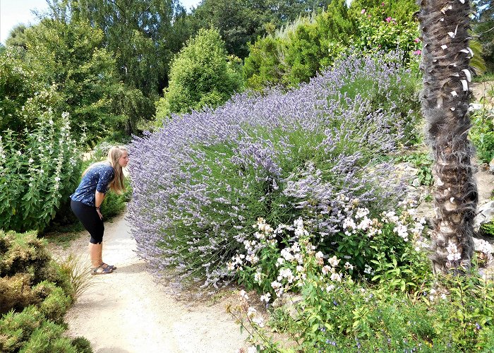 Ventnor Botanic Garden VENTNOR BOTANIC GARDEN – BRITAIN'S HOTTEST GARDEN, UK photo