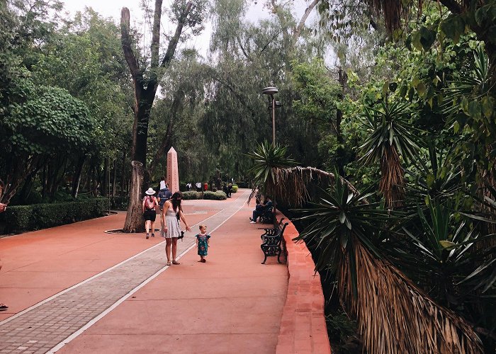 Benito Juarez Park 6 Day San Miguel de Allende Itinerary With Kids — Found Elsewhere photo