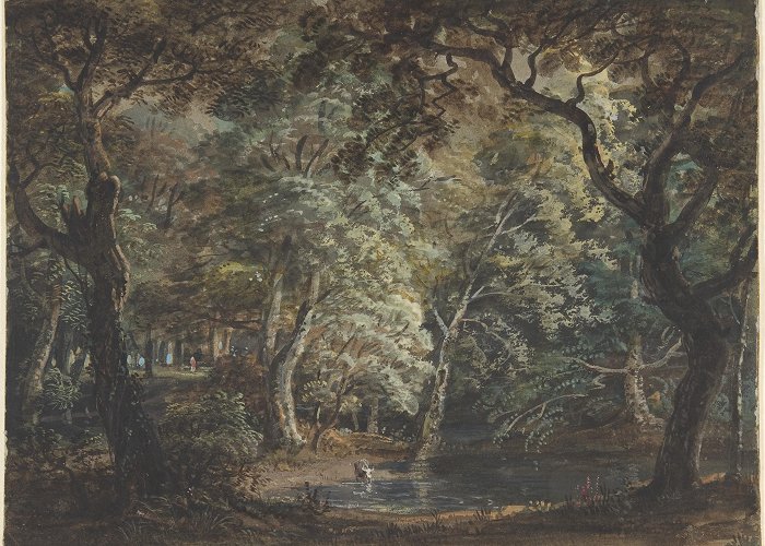 Windsor Great Park Paul Sandby | Windsor Great Park | The Metropolitan Museum of Art photo