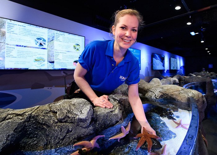 The London Aquarium Sea Life Aquarium | Attractions | Big City Saver London photo