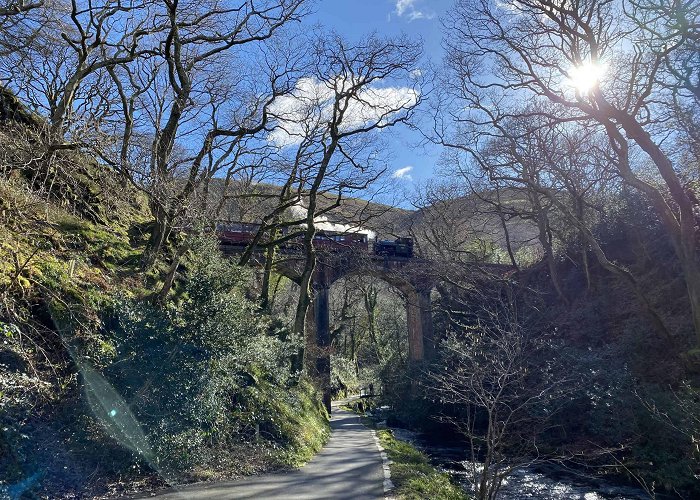 Dolgoch Falls Dolgoch Falls Waterfall Walk | Visit Tywyn photo