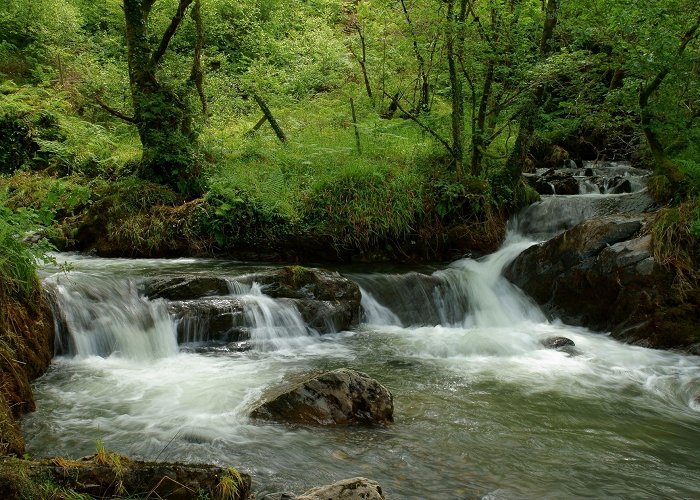 Dolgoch Falls Visit Abergynolwyn: 2024 Travel Guide for Abergynolwyn, Tywyn ... photo