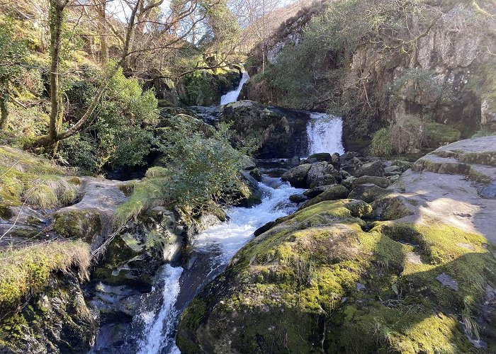 Dolgoch Falls Dolgoch Falls Waterfall Walk | Visit Tywyn photo