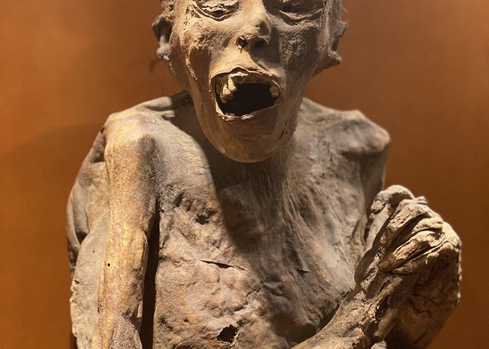 The Mummies of Guanajuato Museum The Haunting and Horrific Mummy Museum of Guanajuato photo