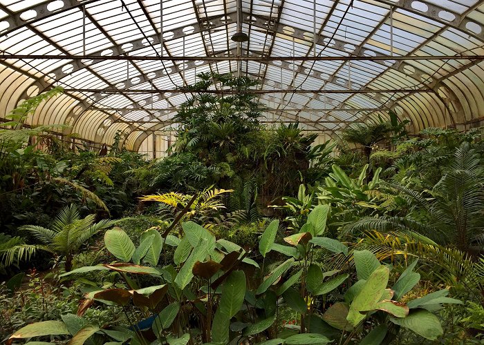 Botanical Garden of Sao Paulo One of the greenhouses of the botanical garden of São Paulo : r ... photo