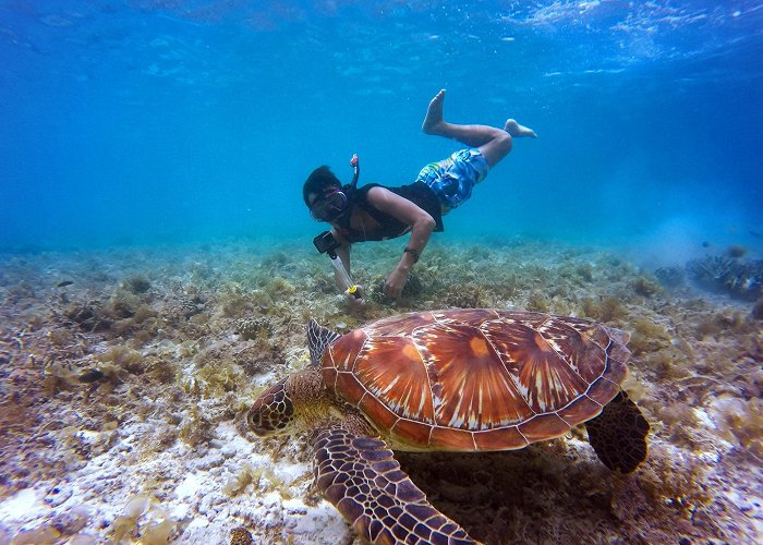 Cabo Pulmo National Park Cabo San Lucas Local Snorkeling Tour | Tours Cabo photo