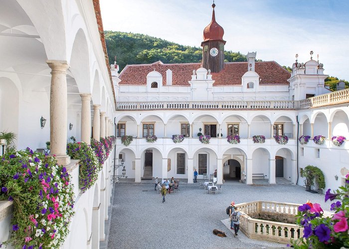 Herberstein Zoo Discover Herbersten Castle in the heart of Styria photo