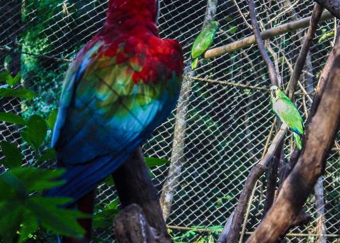 Guira Oga Zoo Visiting the Feathered Guests at Güira Oga | Stephen Travels photo