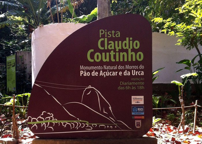 Pista Cláudio Coutinho Aves e Árvores: Visita à Pista Claudio Coutinho no Morro da Urca ... photo