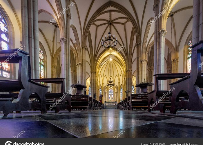 Cathedral of St. Peter of Alcantara Petropolis Brazil Nov 2017 Petropolis Cathedral Saint Peter ... photo