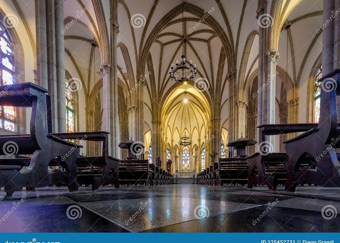 Cathedral of St. Peter of Alcantara Petropolis Cathedral of Saint Peter of Alcantara Interior ... photo